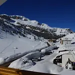 Grifone Belluno