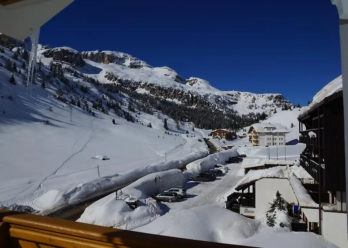 Grifone Μπελούνο